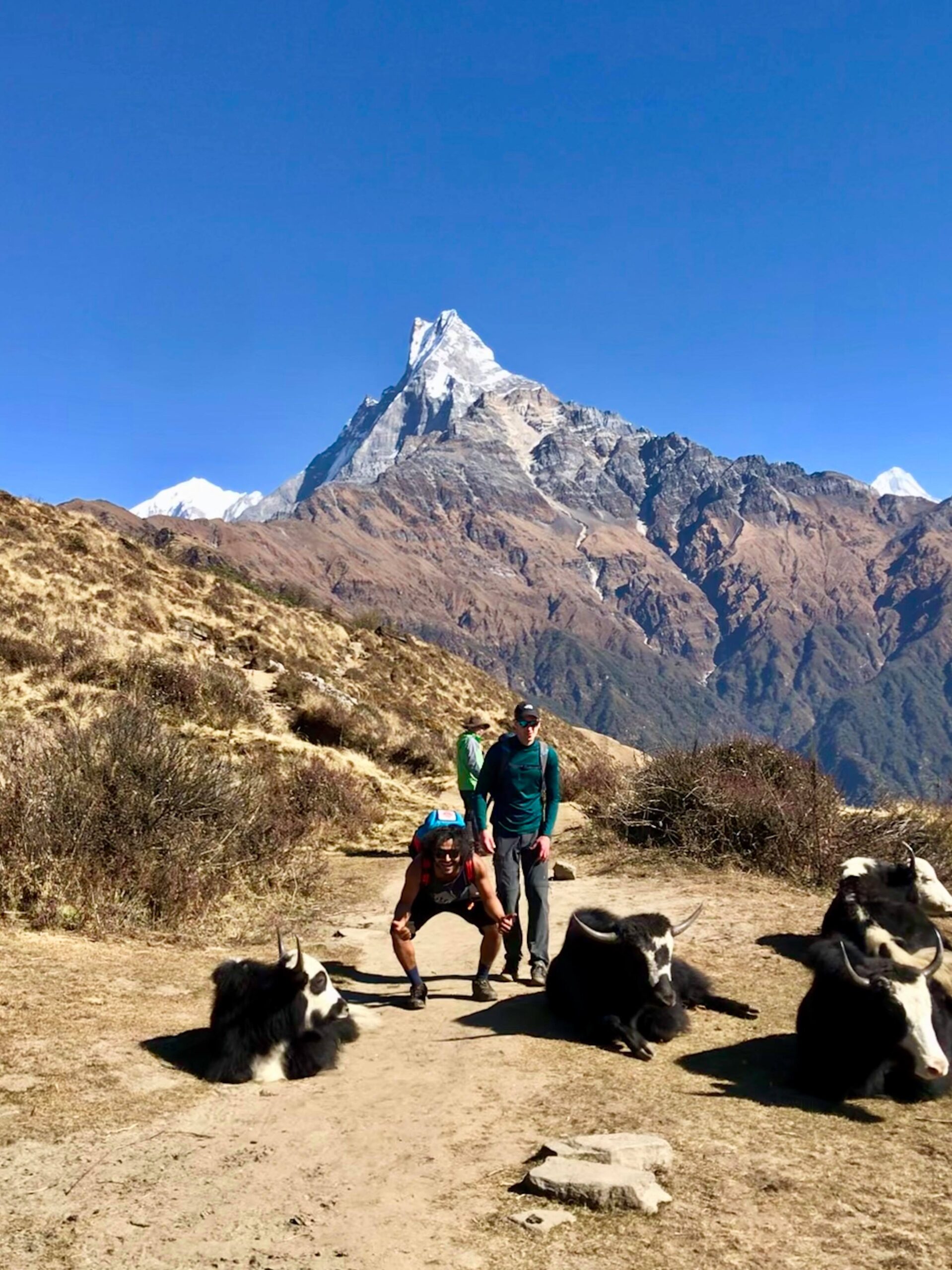 Mardi Himal Base CAmp