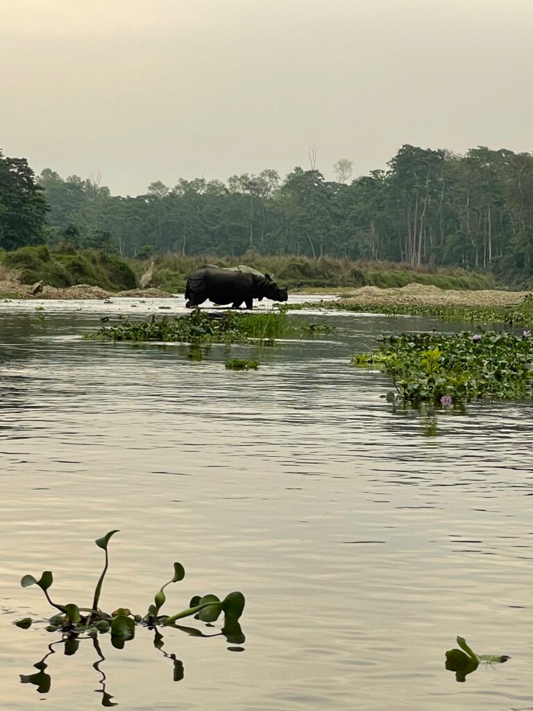 Chitwan National Park