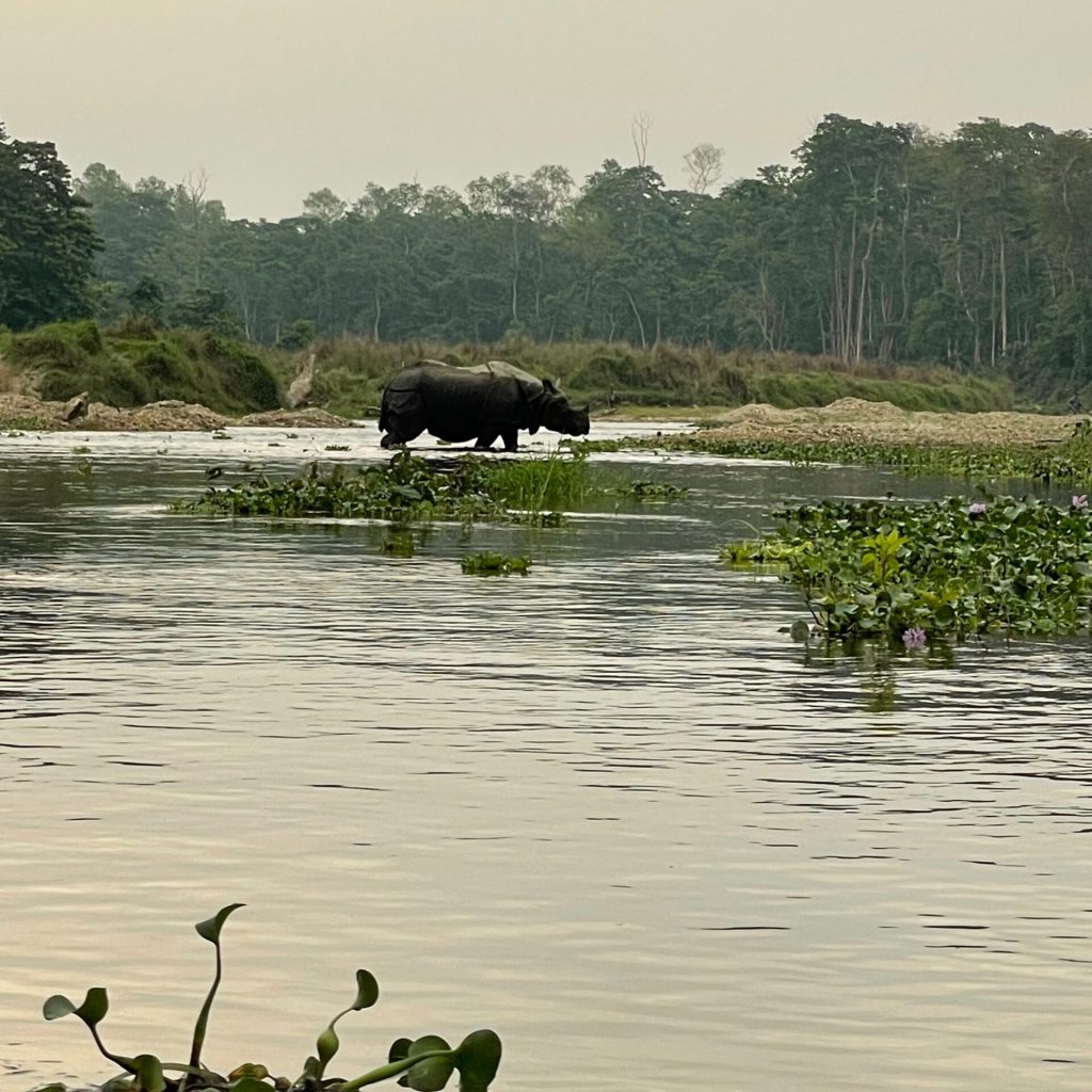 Chitwan National Park
