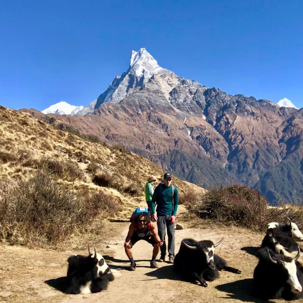 Mardi Himal Base CAmp